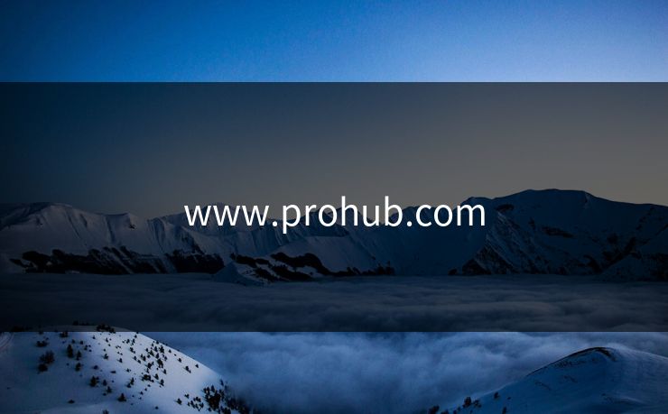 www.prohub.com