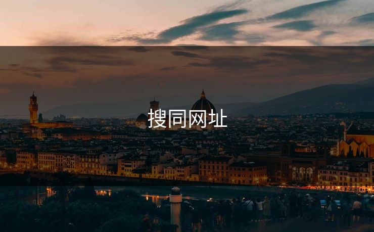 搜同网址